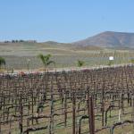 Temecula_0040 ()